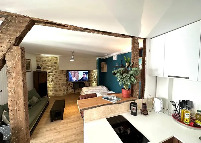 Appartement Vieux Mans