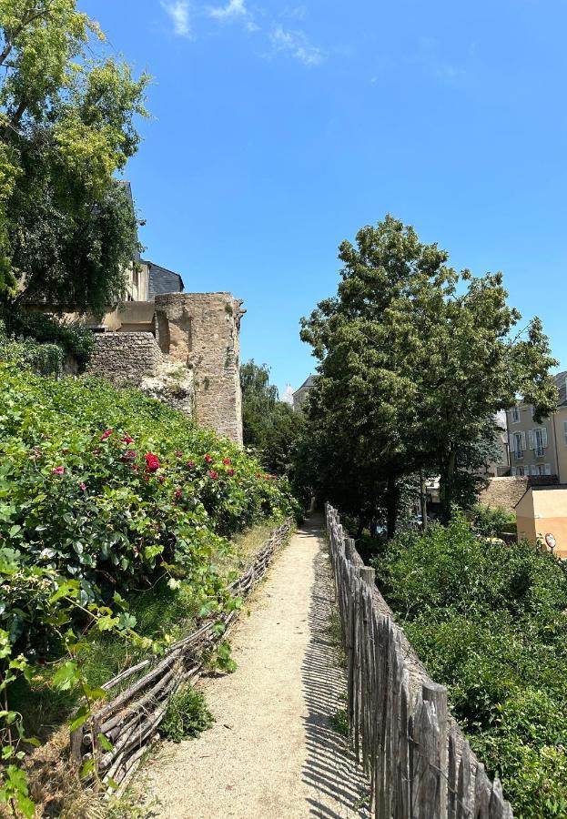 Vieux Mans * Le Mans